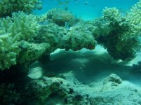 red sea rock formation.JPG