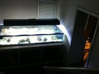 Picture 145.jpg