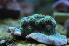 DSC_3441.jpg