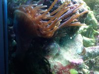 IMG00054-20090820-1430.jpg