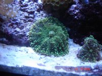 DSC08728.jpg