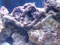 2010-07-07 23.07.45.jpg