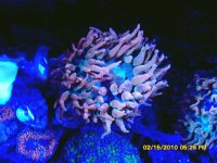 SDC10228.jpg