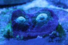 IMG_0593.jpg