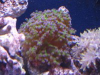 Img_1804.jpg