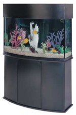 Oceanic 72 BF Canopy Black.jpg