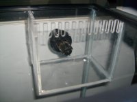 custom 20 gal 002.jpg