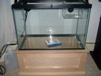 custom 20 gal 003.jpg