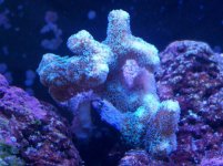 100_2762.jpg