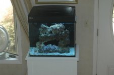 34gal.JPG
