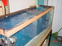 DSC00829.jpg
