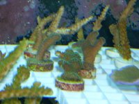 nov142009 005.jpg