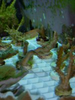 nov142009 006.jpg