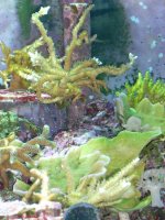 nov142009 011.jpg