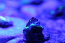 IMG_0877.jpg