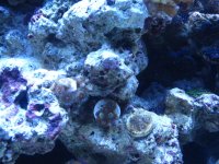 IMG_1732.jpg