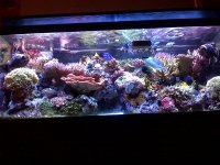 fts.JPG