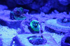 IMG_0894.jpg