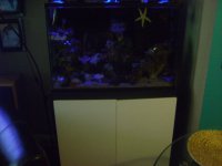 fish tank 001.jpg