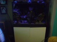 fish tank 002.jpg