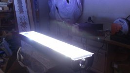 850_0242.jpg
