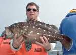 snowy-grouper.jpg