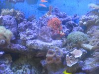IMG_0985.jpg
