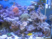 IMG_0986.jpg
