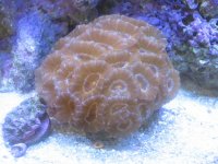 IMG_0989.jpg