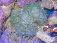 IMG_0990.jpg