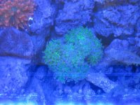 IMG_0991.jpg