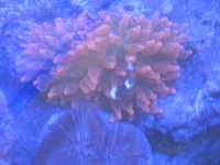 IMG_0994.jpg