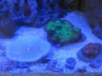 IMG_0997.jpg
