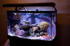 fishforsale-8.jpg