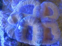IMG_1006.jpg