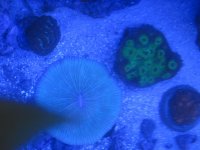 IMG_1008.jpg