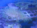 IMG_1010.jpg
