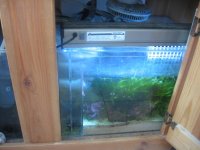 IMG_1013.jpg
