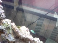 Photo on 2010-07-12 at 17.35.jpg