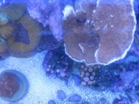 IMG_1017.jpg