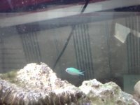 Photo on 2010-07-12 at 17.36.jpg