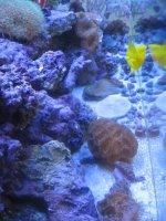 IMG_1019.jpg