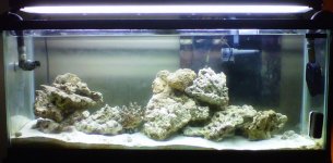 IMG00036-20100909-0633.jpg