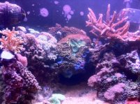 fts.JPG
