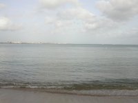 DSCN2514.jpg