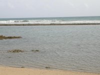 DSCN2516.jpg