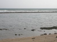 DSCN2517.jpg