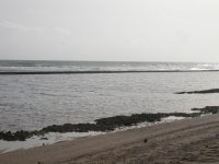 DSCN2518.jpg