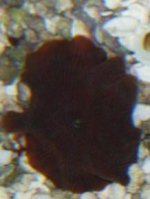 100_1926.jpg
