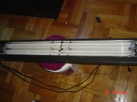 DSC00350.jpg